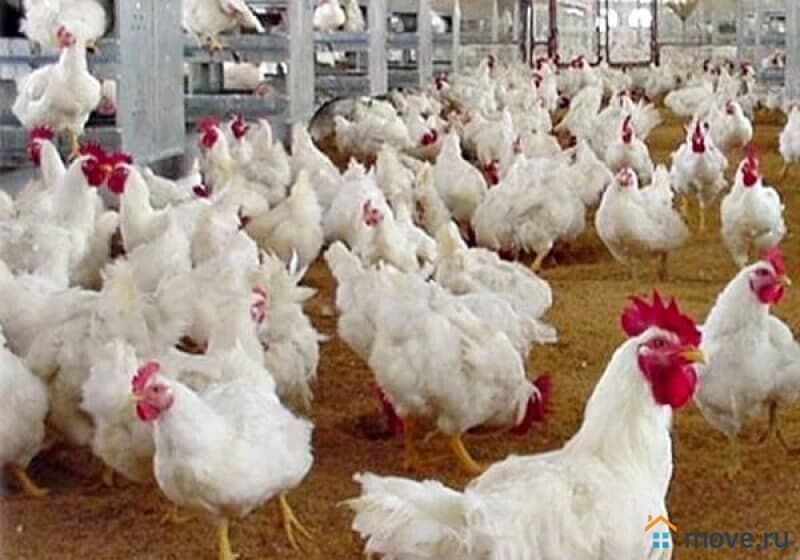 готовый бизнес, 5000 м²