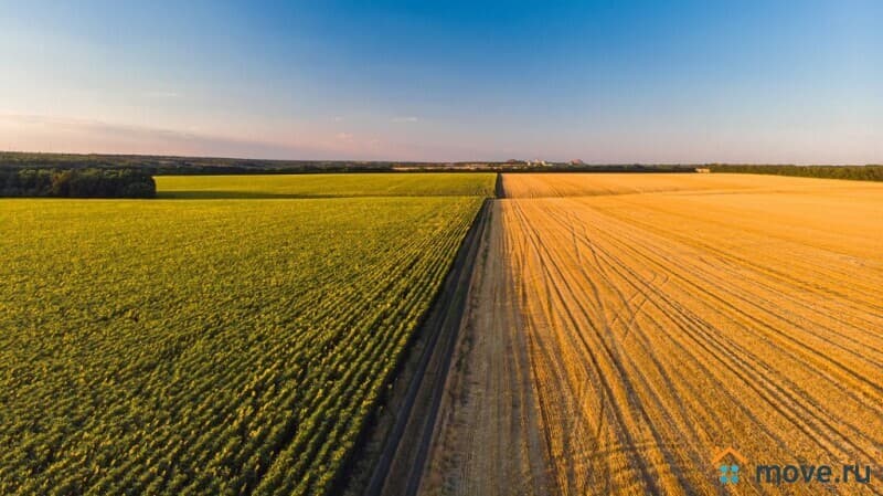 земля с/х назначения, 600000 га