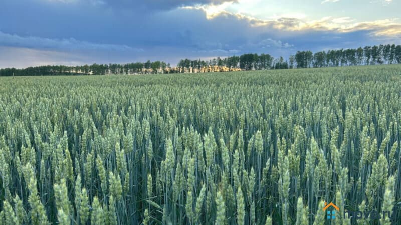 земля с/х назначения, 60000000 га