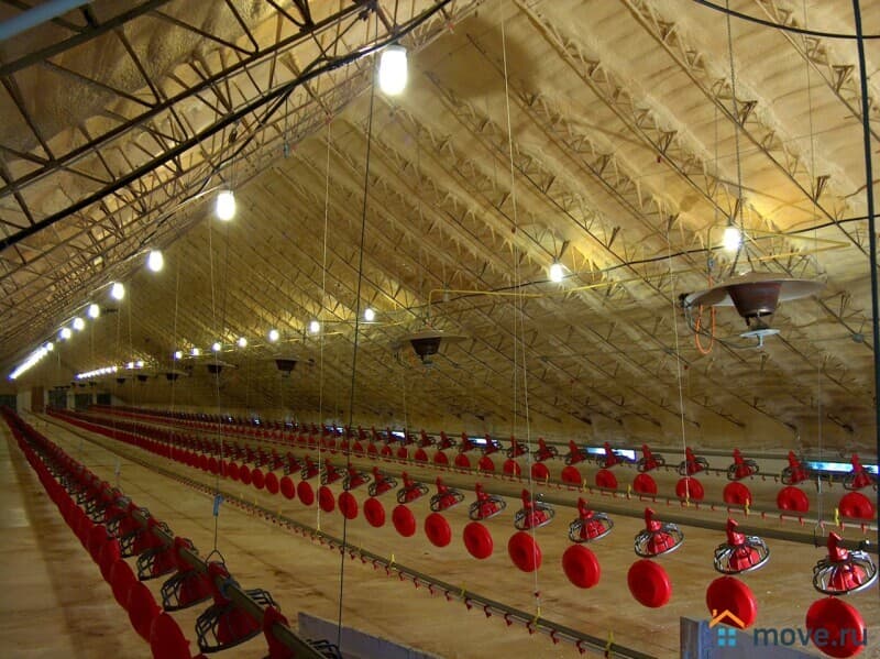 готовый бизнес, 22000 м²