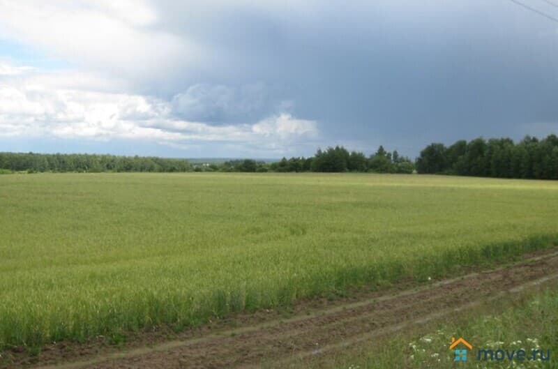 земля с/х назначения, 18.7 га