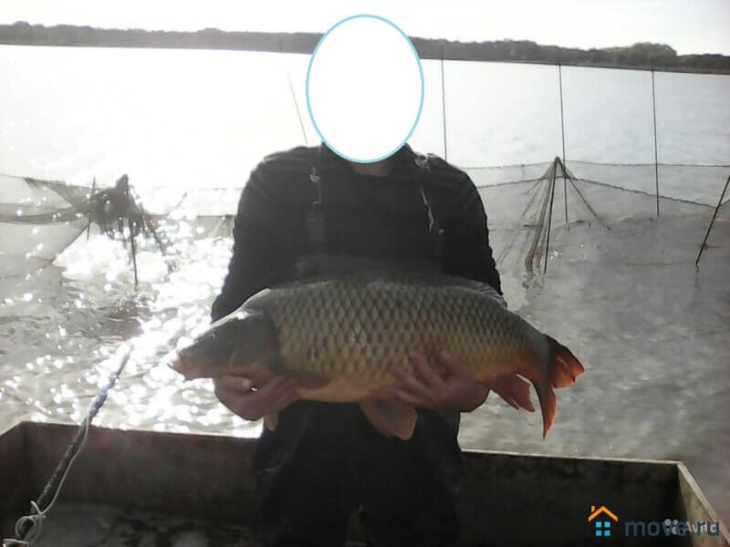 земельный участок, 0.61 га