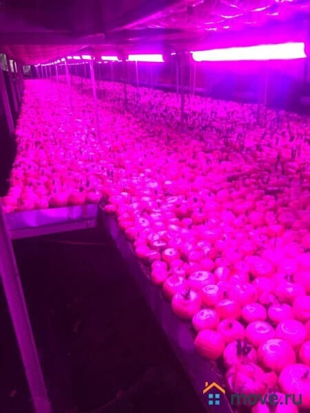 готовый бизнес, 520 м&sup2;