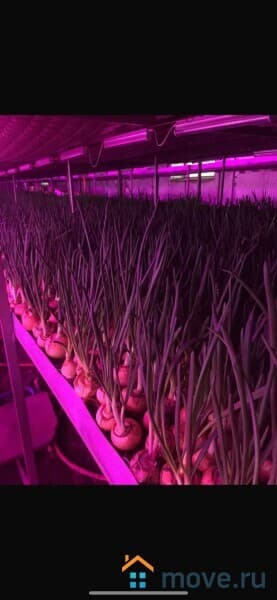 готовый бизнес, 520 м&sup2;