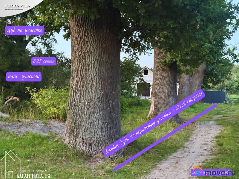 земля под ИЖС, 8.25 сотки