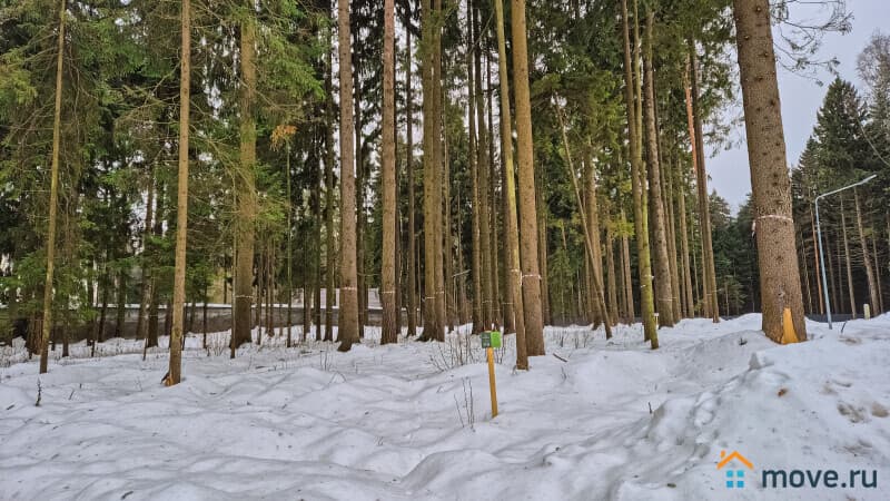 земля под ИЖС, 6.01 сотки