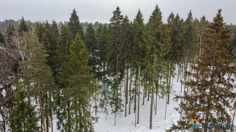 земля под ИЖС, 6.01 сотки