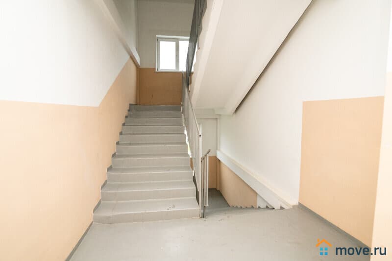 студия, 31.9 м²