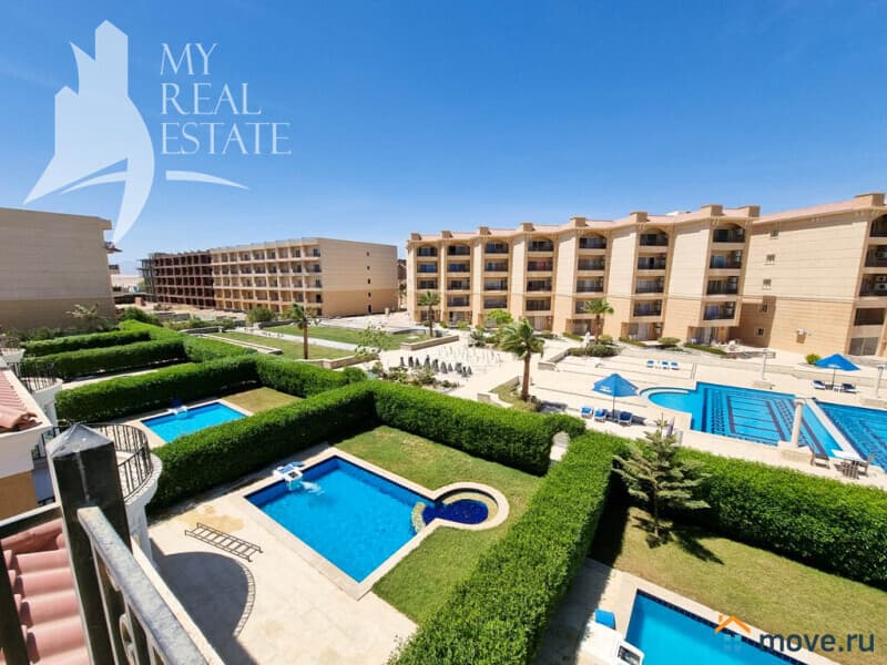 студия, 55 м²