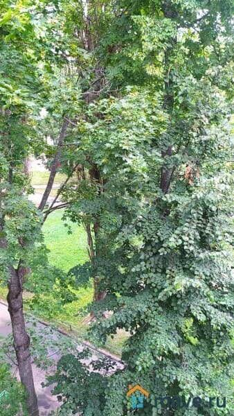 2-комн. квартира, 43.3 м²