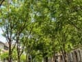Продажа четырехкомнатной квартиры, 111 м², этаж 5 из 5. Фото 15