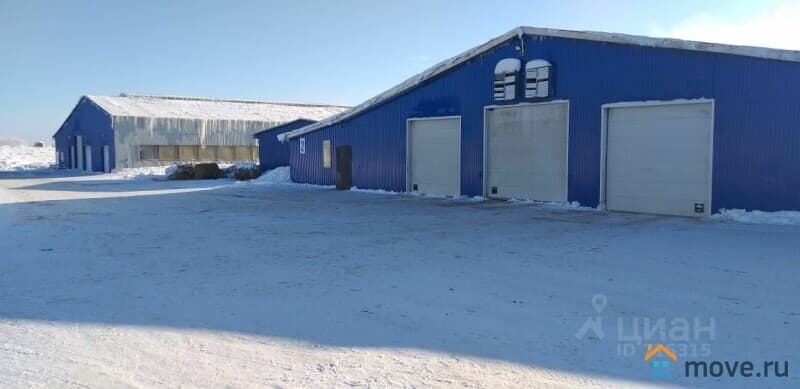 готовый бизнес, 7000 м²
