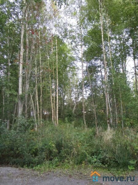 земля с/х назначения, 10 соток