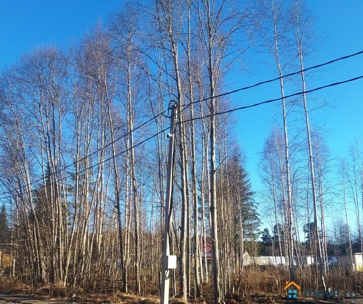 земля с/х назначения, 10 соток
