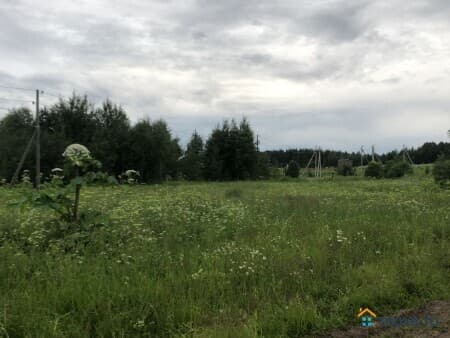 Продам землю с/х назначения, 432.89 га, Сыктывкар