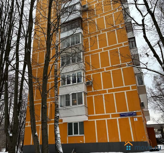 студия, 13.5 м²