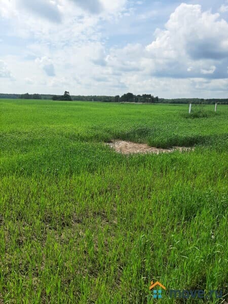 земля с/х назначения, 38 соток