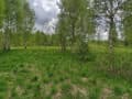 Продажа земли с/х назначения, 60 га. Фото 7