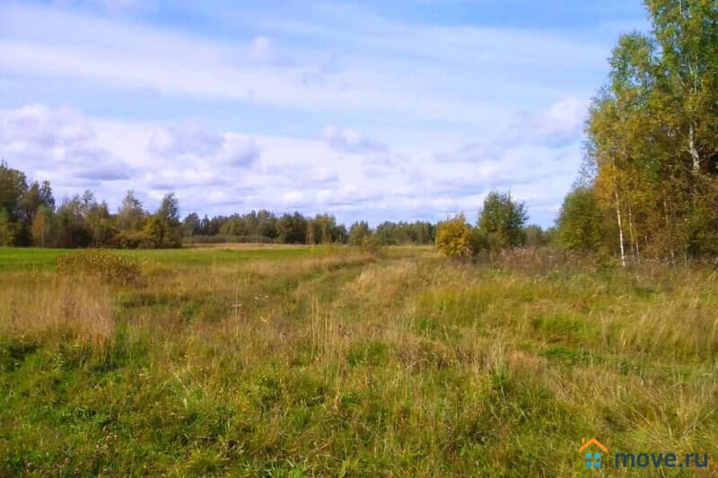 земля с/х назначения, 60 га