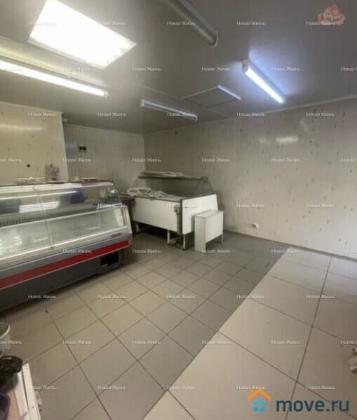 свободного назначения, 24.4 м²