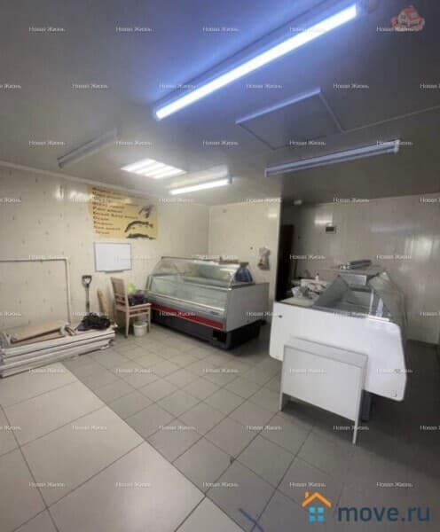 свободного назначения, 24.4 м²