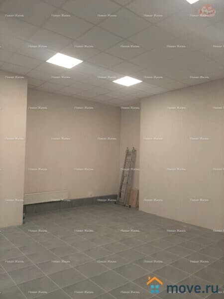 свободного назначения, 43.1 м²