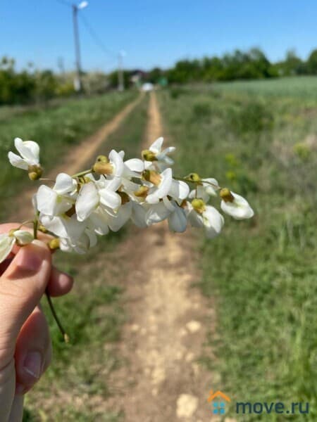 земельный участок, 5 соток