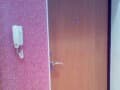1-комн. квартира, 30 м²