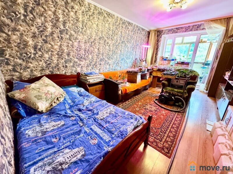комната, 55 м²