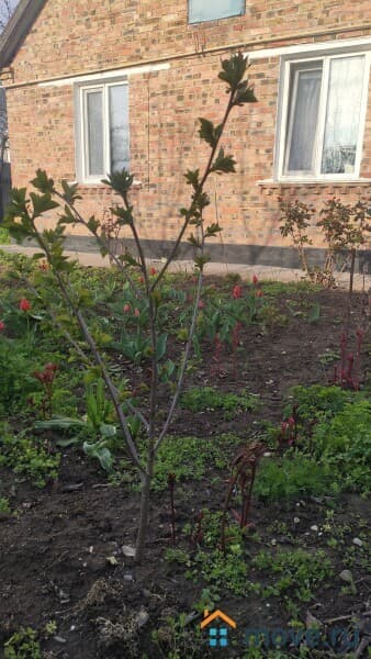 дом, 69.1 м&sup2;