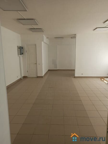офис, 43 м²
