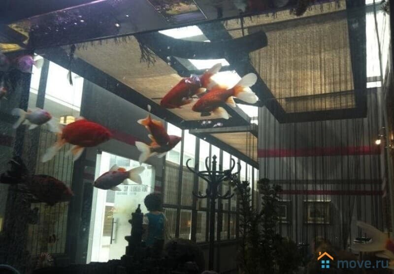 сфера услуг, 137 м²