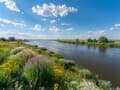 Продажа земельного участка, 1 га. Фото 6