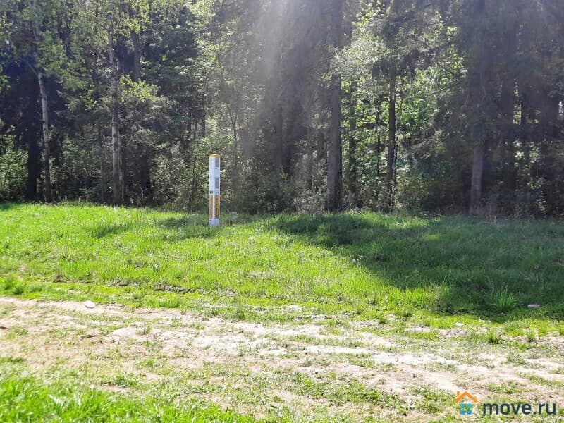 земля с/х назначения, 1.65 га