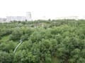 Продам однокомнатную квартиру, 32.4 м², этаж 8 из 9. Фото 7