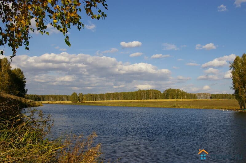 земельный участок, 81 га