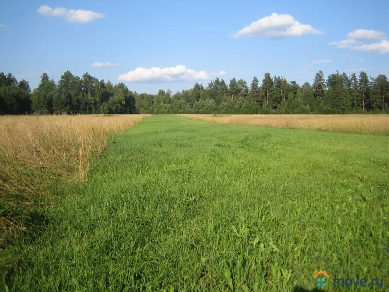 земля с/х назначения, 2 га