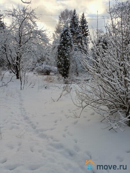 земля под ИЖС, 23 сотки