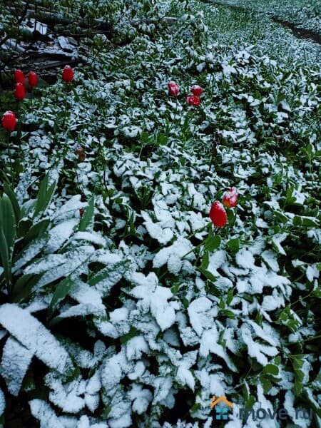 земля под ИЖС, 23 сотки