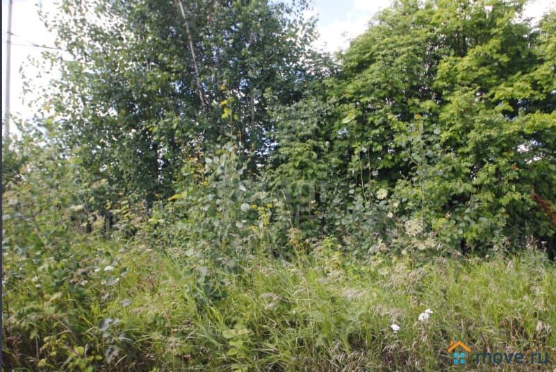 земельный участок, 16.5 сотки