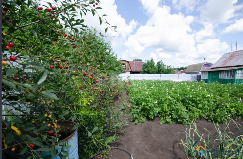 1-комн. квартира, 25 м&sup2;