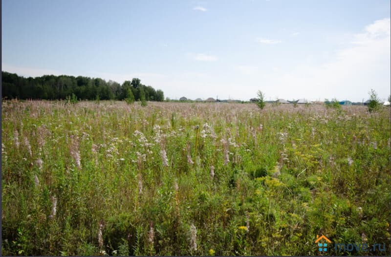 земельный участок, 0.88 га