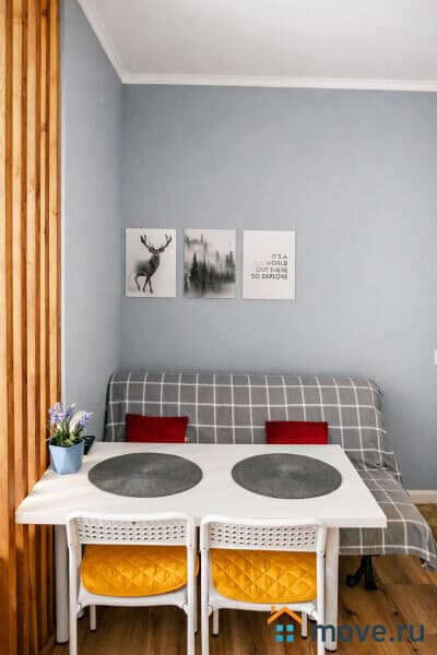 студия, 24 м&sup2;