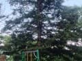Снять однокомнатную квартиру на сутки, 30 м², этаж 1 из 5. Фото 5