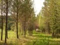 гостиница, 560000 м²