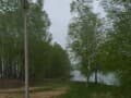 земля под ИЖС, 8 соток