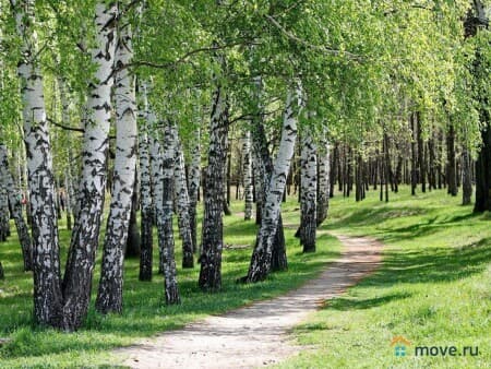 Продажа земли под ИЖС, 8 соток, Нижний Новгород, Богородский район, с. Каменки