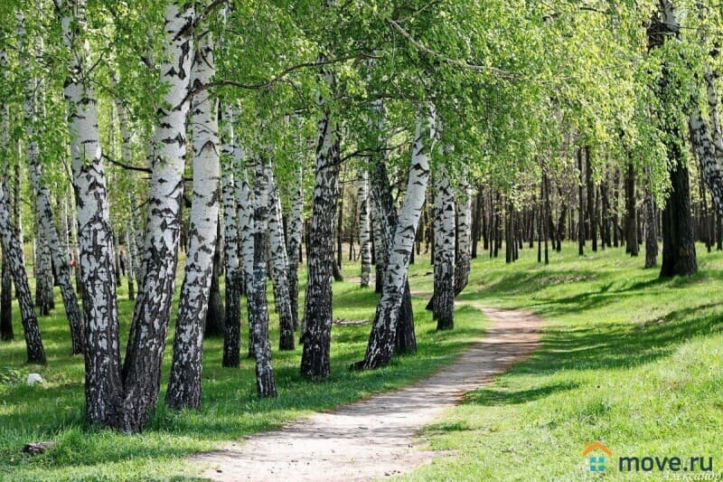 земля под ИЖС, 8 соток