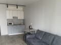 Сдается однокомнатная квартира, 40 м², этаж 10 из 17. Фото 1