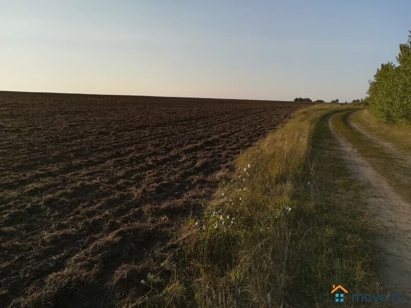земля с/х назначения, 161.08 га